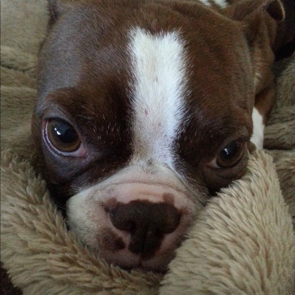 Meet your Posher, Lori - Picture 16 of 16